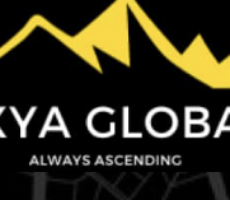 Axya Global